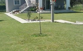 Elegant House